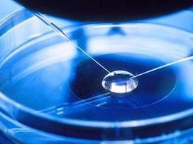 2026杭州下城区小学生入学条件一览，资料没备好真上不了