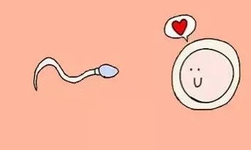 2026在日照市做基因检测多少钱？基因筛查可以规避哪些遗传病？