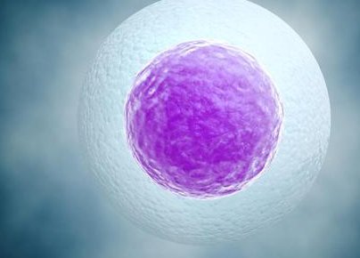 试管有胚胎第二次做还需要多少钱，看看医生是怎么说的