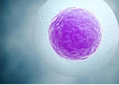 第三代试管婴儿多少钱？教你如何最有效省钱