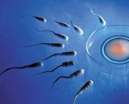 泰国去nic试管婴儿费用贵吗？要多少钱？