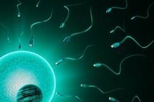 女性不孕不育的原因有哪些？造成女性不孕的原因你占了几个