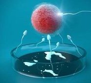 2026年在黄石爱康医院做三代试管婴儿指南！怀孕成功率多少供您参考