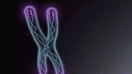 男性患有少精症能否通过试管婴儿生孩子？