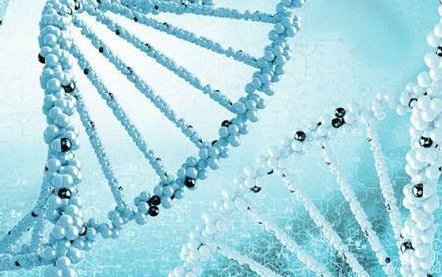 马来西亚做试管婴儿？马来西亚试管攻略