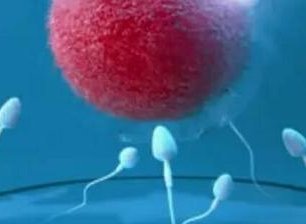 太原做试管成功率比较高的医院是哪家？这份排行榜告诉你答案！