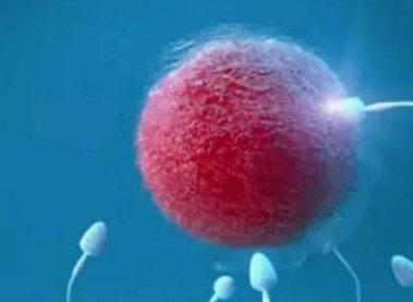 吉林做卵子试管婴儿私立医院排名出炉