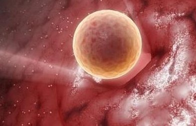 在温州市人民医院做试管婴儿要多少钱？成功率怎么样？附试管怀孕机构名单一览